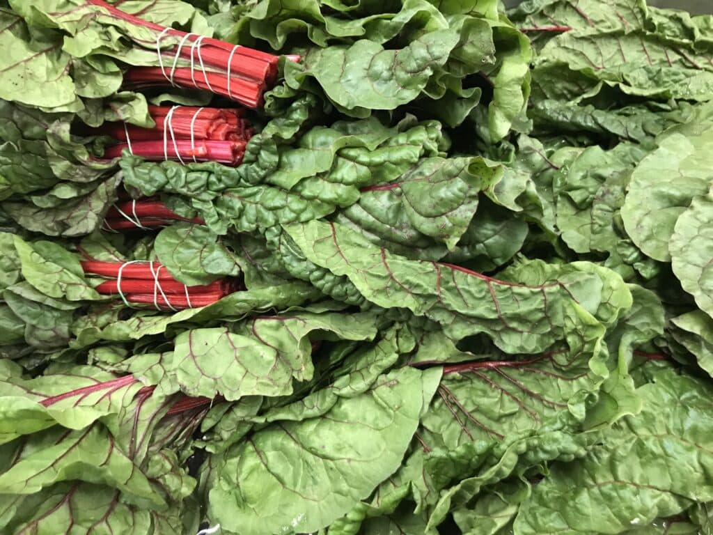 closeup of chard bunches