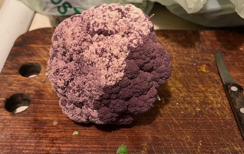 Half purple and half white cauliflower