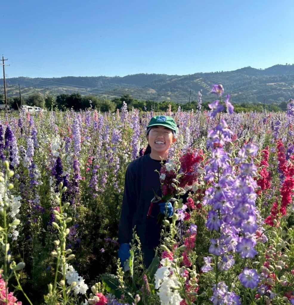 Full Belly Farm Intern Chiho in a field of larkspur flowers