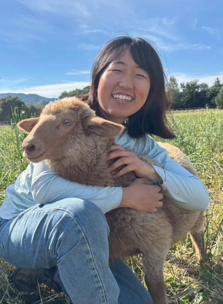 Full Belly intern Chiho Hugging a sheep
