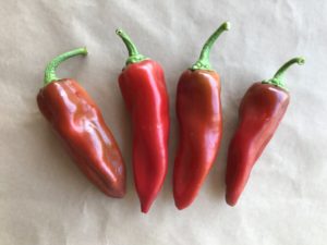 Corno de Toro red peppers