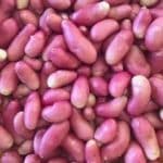 French Fingerlings