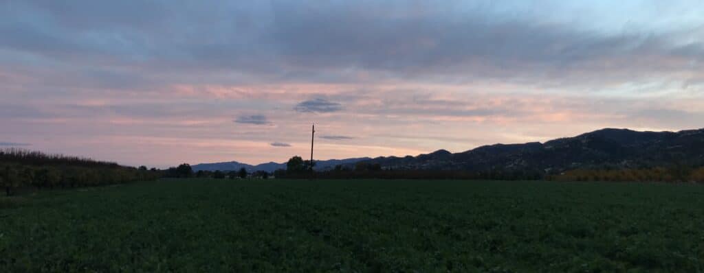 a field at sunset