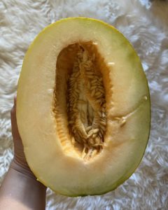 Sharlyn Melon