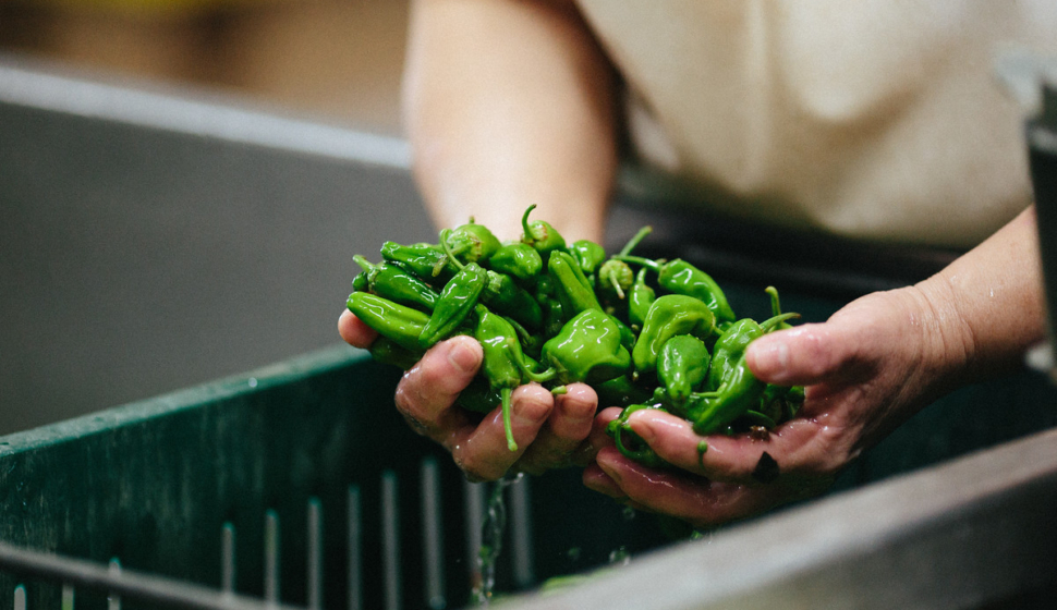 farmer hands with peppers