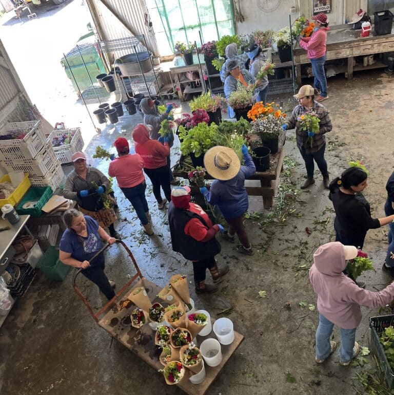 An overhead shot of many women making bouquets