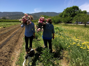 Hannah and Dru in the flower fields