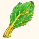 bok choi