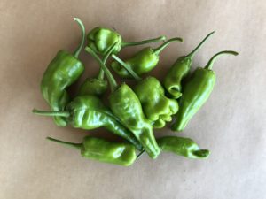 Padron peppers