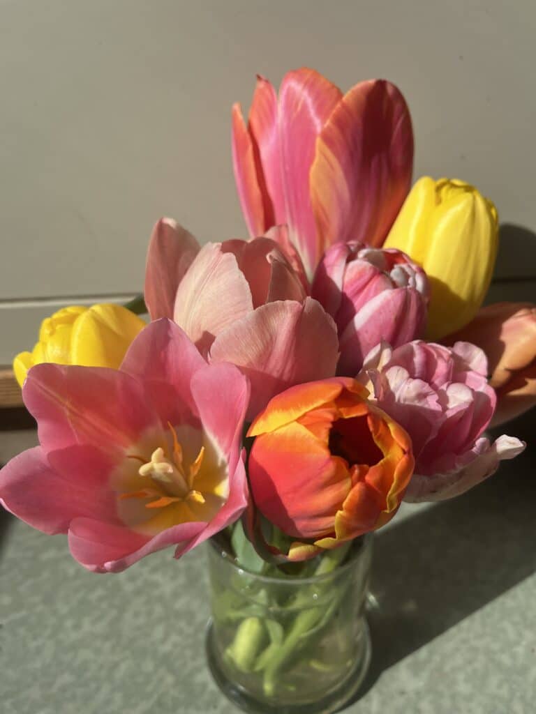 A glass vase of tulips with several tulips of different colors