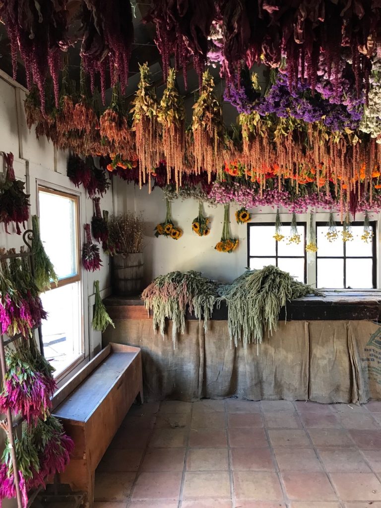 Adorn Your Home with Dried Flowers - Busch's Florist & Greenhouse