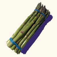 asparagus art