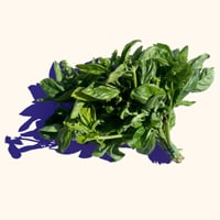 basil