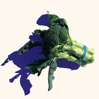 broccoli