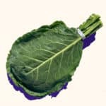 collards