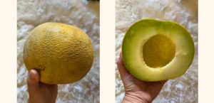 galia melon