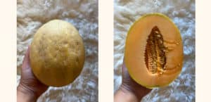 goddess melon