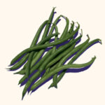 green beans art