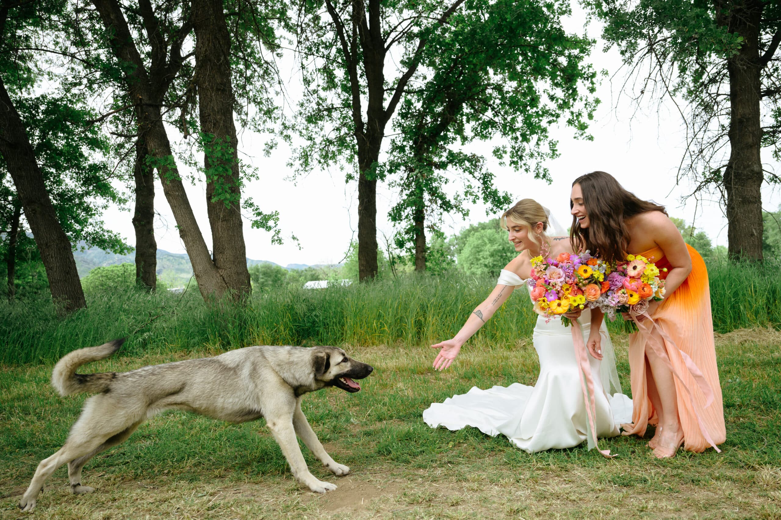 melissahabegger-fullbellyfarmwedding-042724-family-064