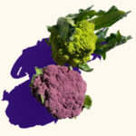romanesco and lavender cauliflower art