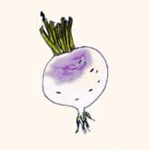 rutabaga
